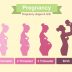 女性の妊娠後の体の変化の絵